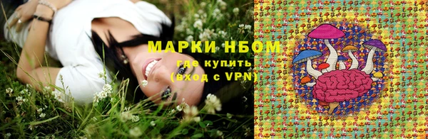 круглые Аркадак