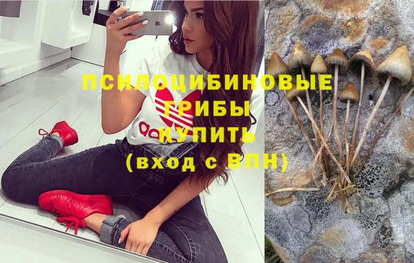 метадон Армянск