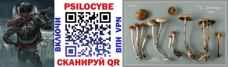 Галлюциногенные грибы MAGIC MUSHROOMS  omg ССЫЛКА  Пущино 