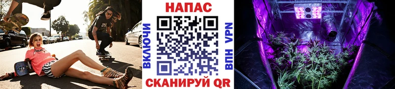 Конопля Amnesia  где можно купить наркотик  Пущино 